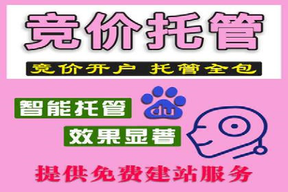 谷歌竞价实战：广告预算分配与效果评估